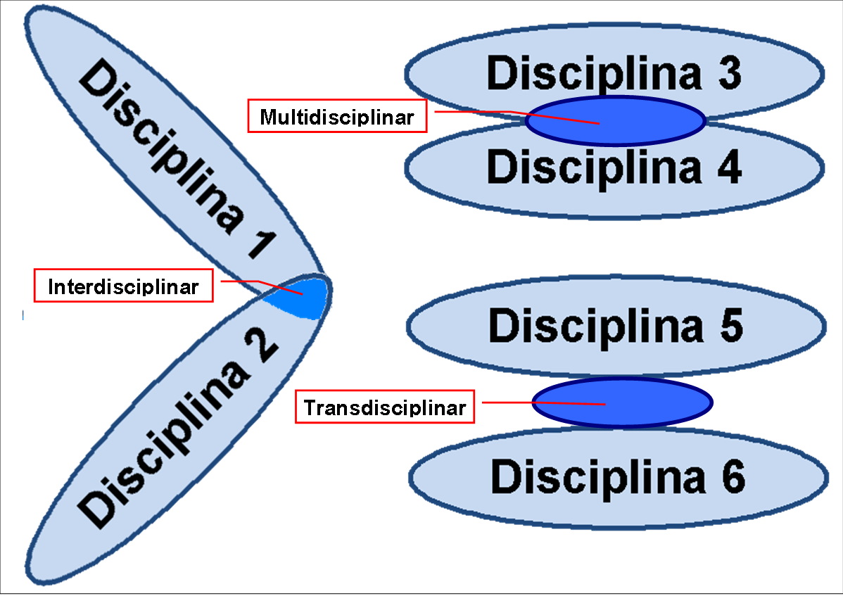 Transdisciplinaridade