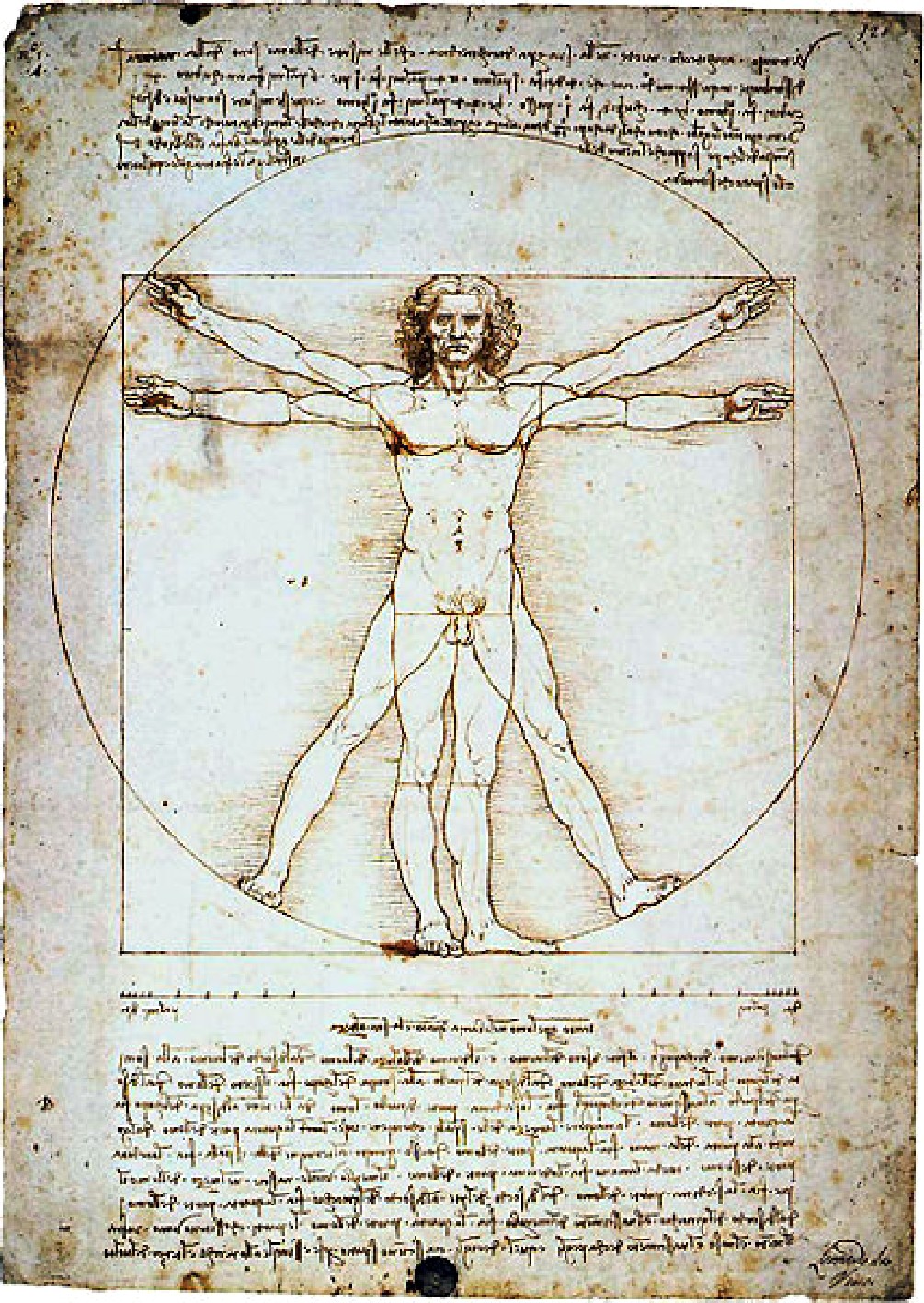Leonardo - Homem vitruviano