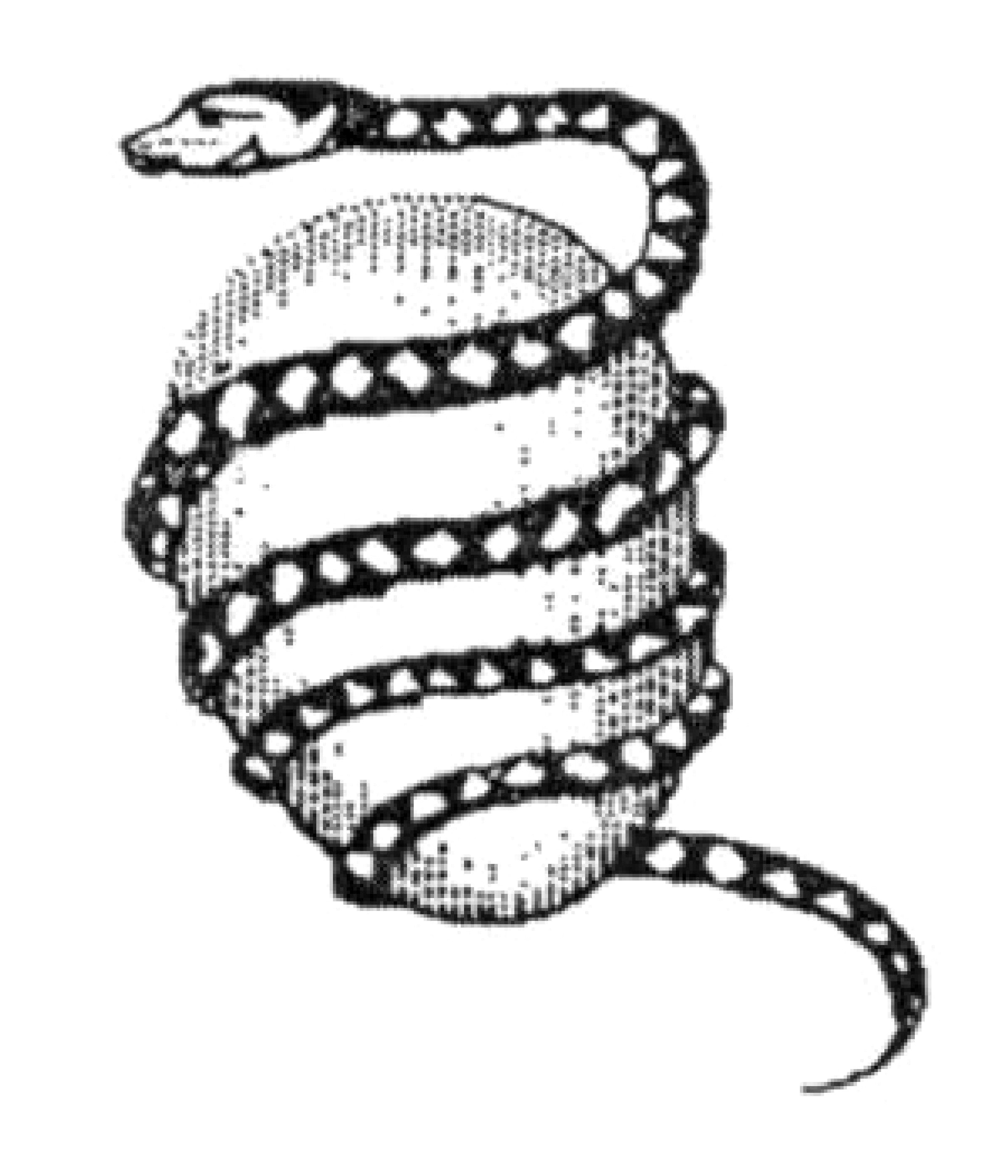 Mito órfico da serpente e o ovo