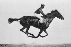 Muybridge racing horse