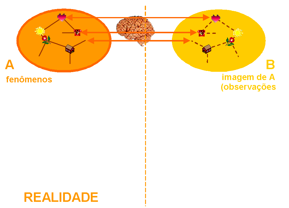 Realidade e Percepção