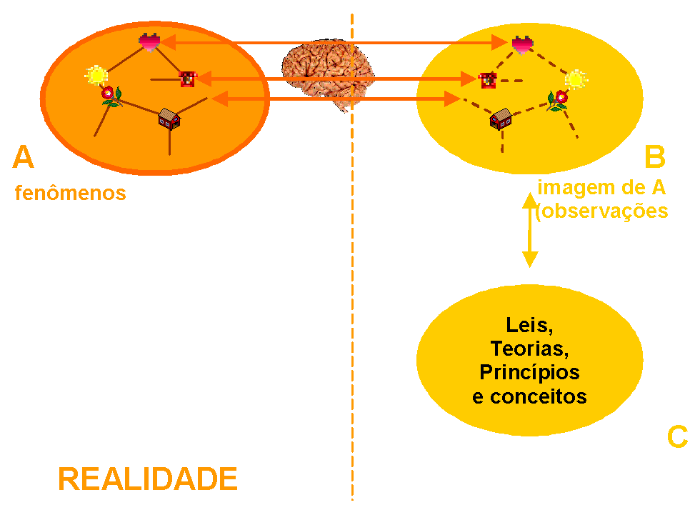 Realidade, Percepções e Hipóteses