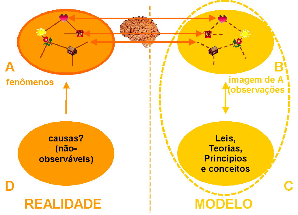 Realidade e Causas